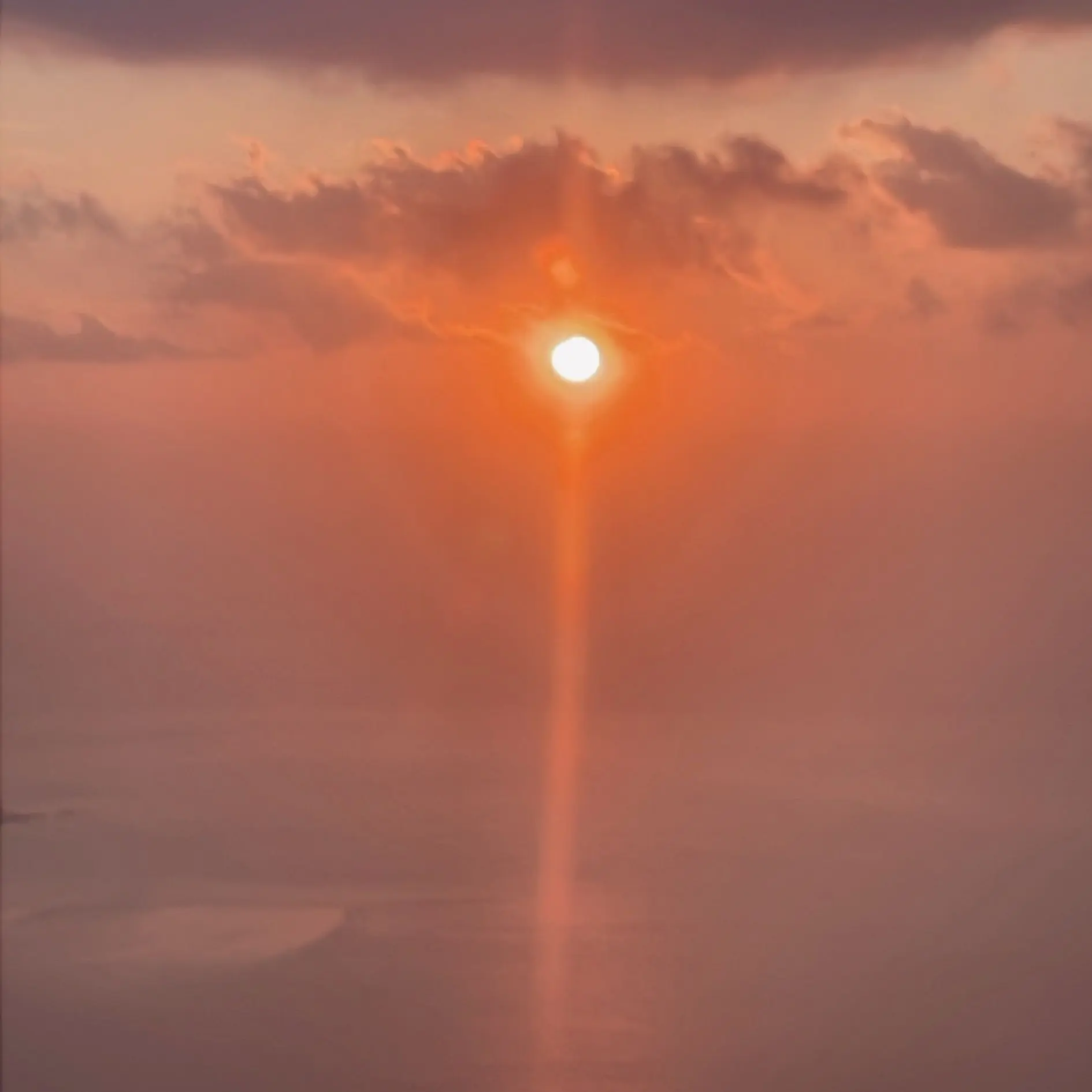 SheerBarb5433의 수학여행