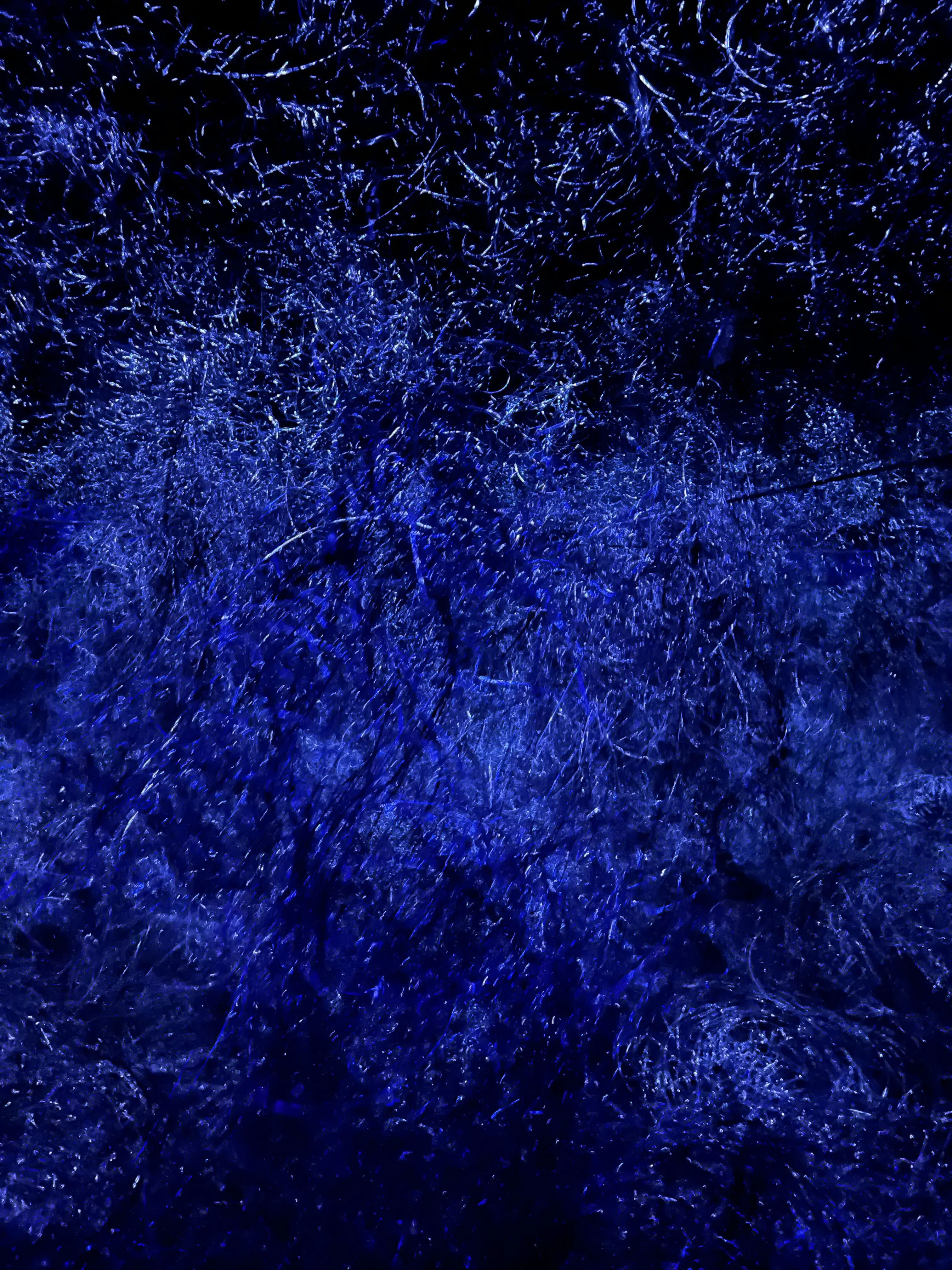 l62의 ずっと歌っていてくれよな