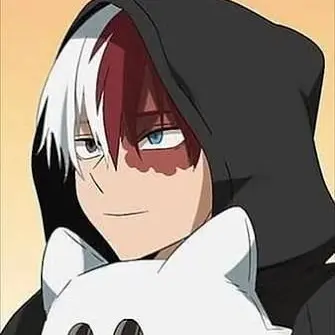 Profile image of Todoroki