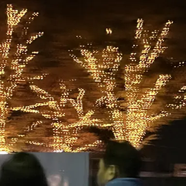 Profile image of 秋野真菜