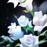 Profile image of 真美子