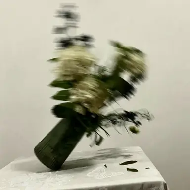 Profile image of 한태오