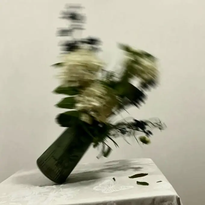 0l0F24816의 동족혐오