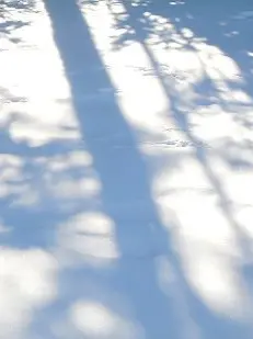 ChunkyRat5773의 순진한 강아지인 줄 알았더니.