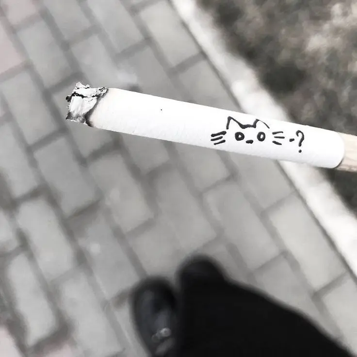 ChunkyMotor9342의 𝄞読書の時間をサボって私と結婚しよう