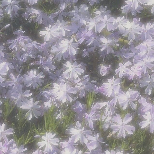 0107 대표 이미지