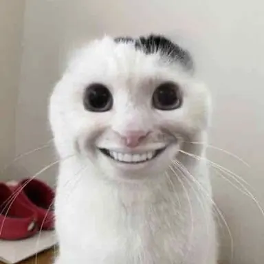 Profile image of ブリ子