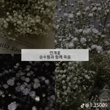 Profile image of ㅎㄷㅁ