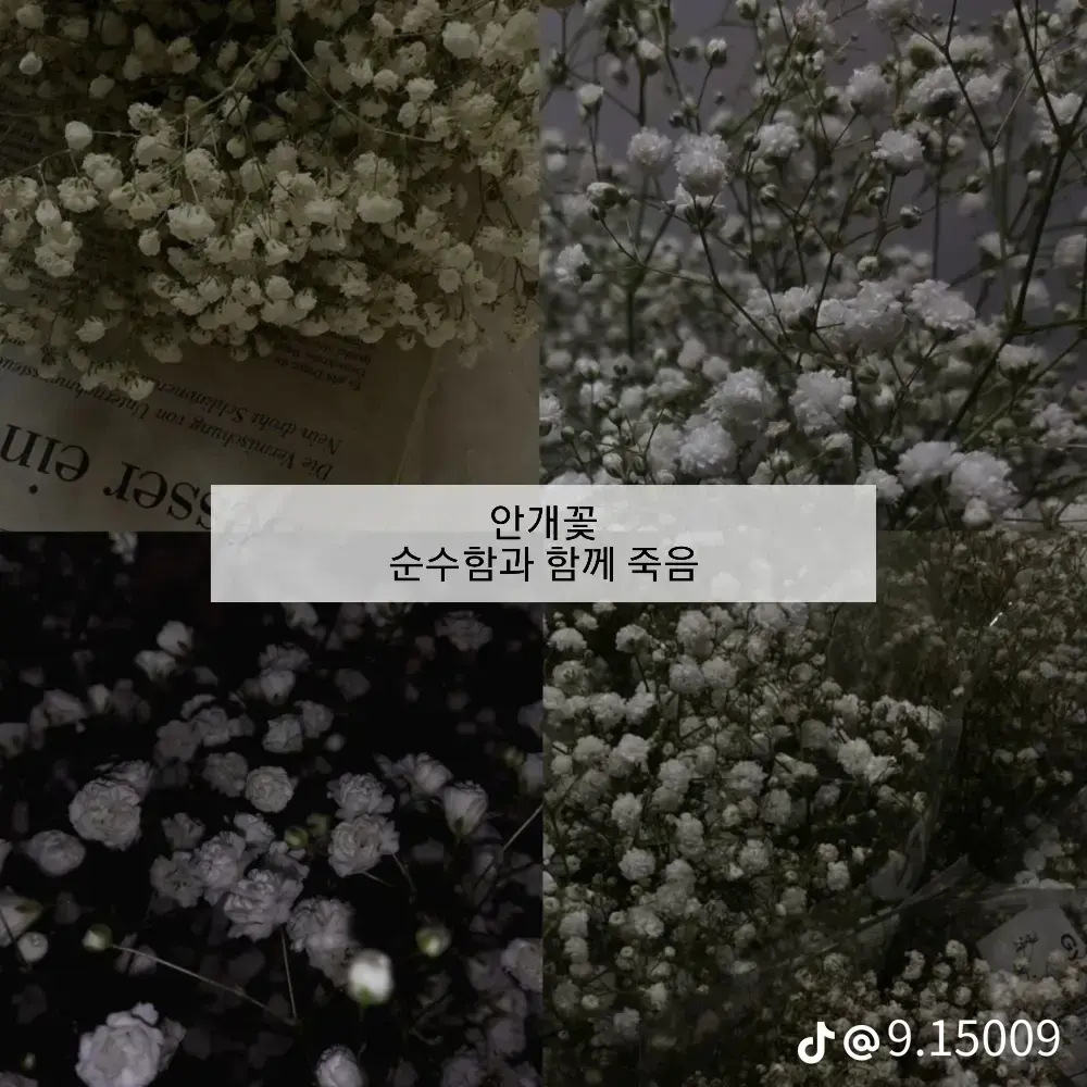 Sumi20140903의 탯한