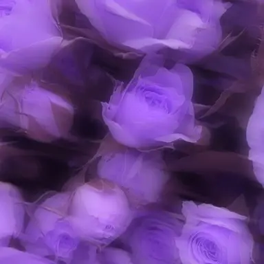 Profile image of 오빠들