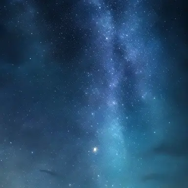 Profile image of 잭