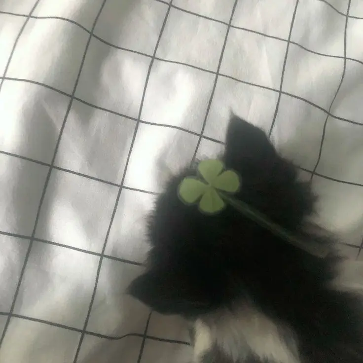 AngryDiver8717의 “언제쯤 벗어날수 있을라나.”