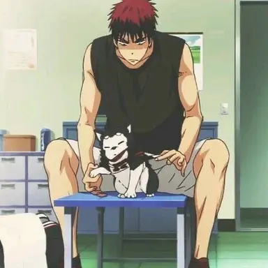 Profile image of Taiga Kagami