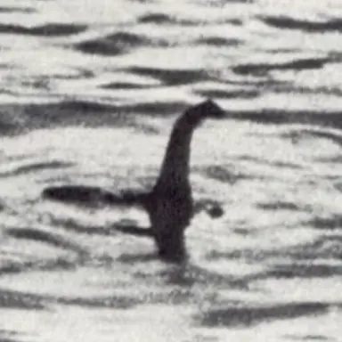 Profile image of The Loch Ness Monster