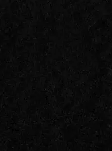 Sewey1029384756의 3대가문+고전학장 회의.