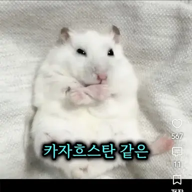 Profile image of 김늑대