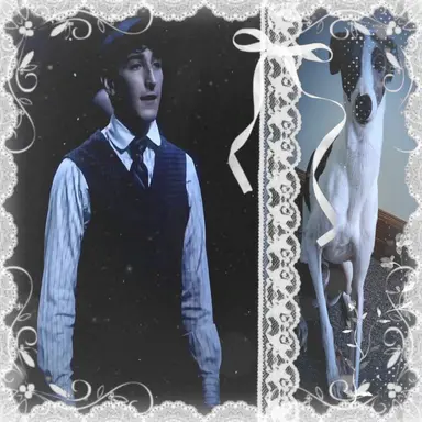 Profile image of Davey