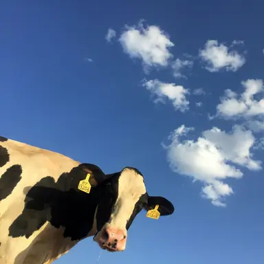 Profile image of 대니