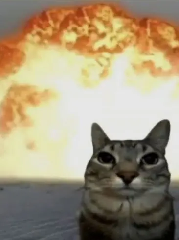 motnani의 다이브!!! ( 동거물 )