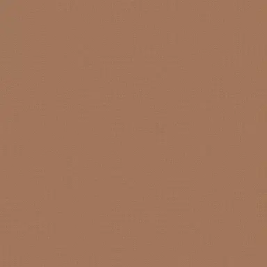 Profile image of ハン