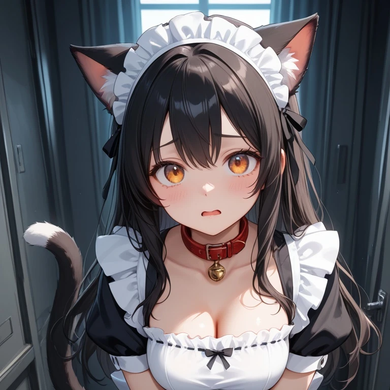 샤