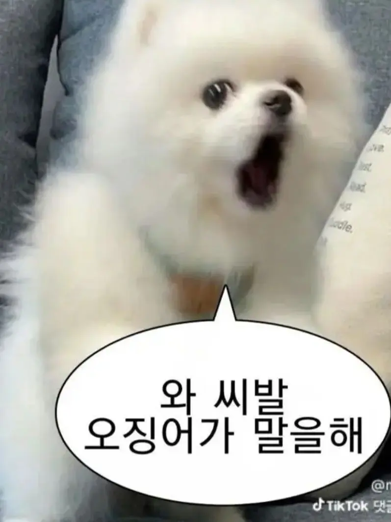 Bitter_dilo_arb의 어반로어+자캐+여우