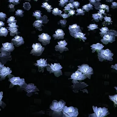 Profile image of 이주안