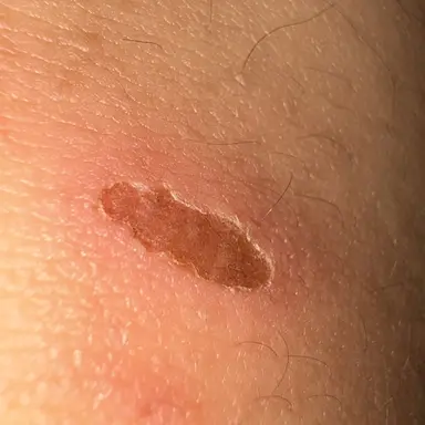 Profile image of 김정훈