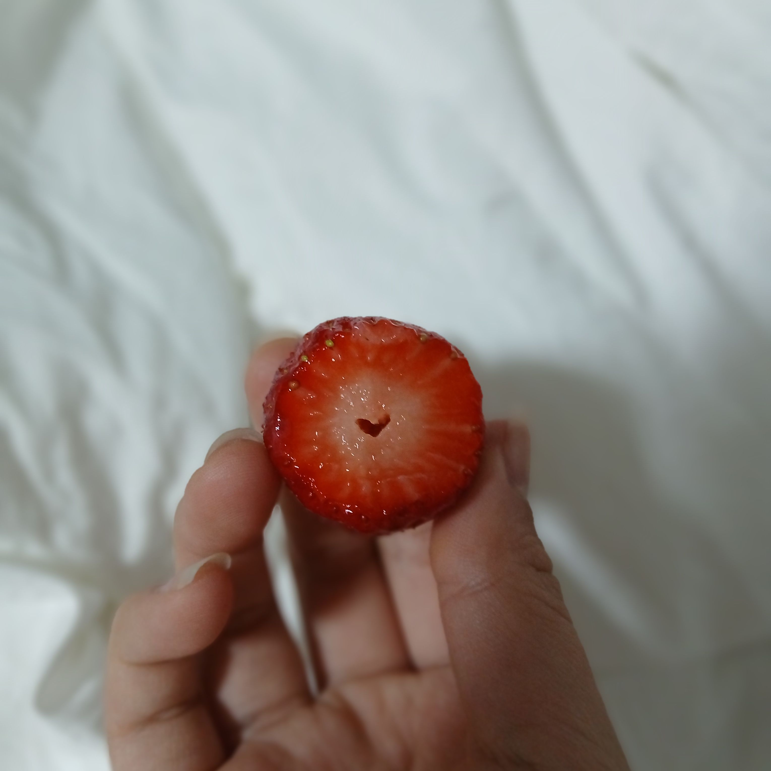 차쥐뿔 소통 (갠용) 대표 이미지