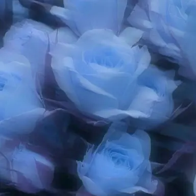 Profile image of 小柳ロウ