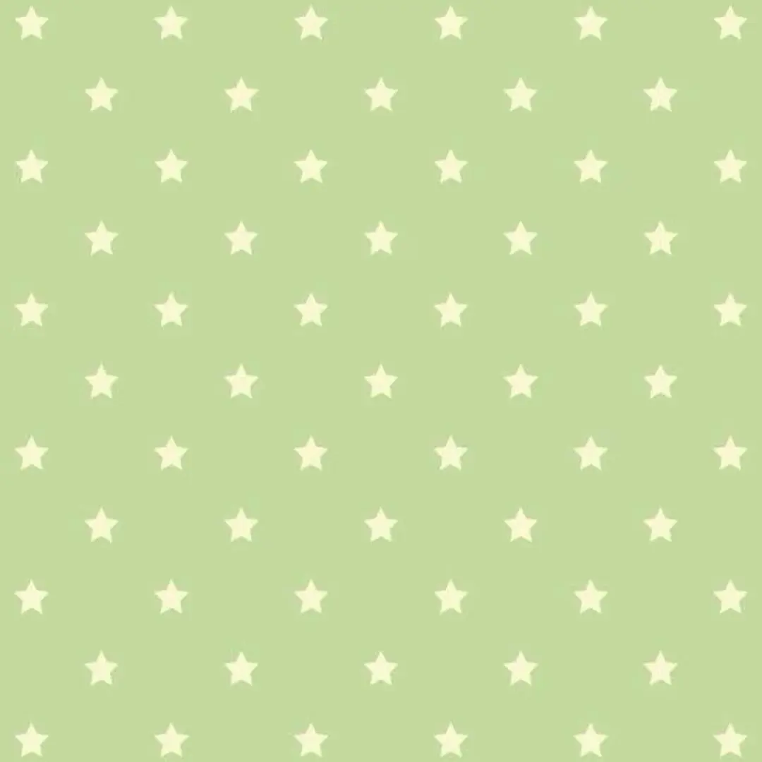 h.xenl의 후지나가 사쿠야