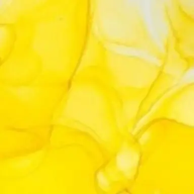 Profile image of 진토