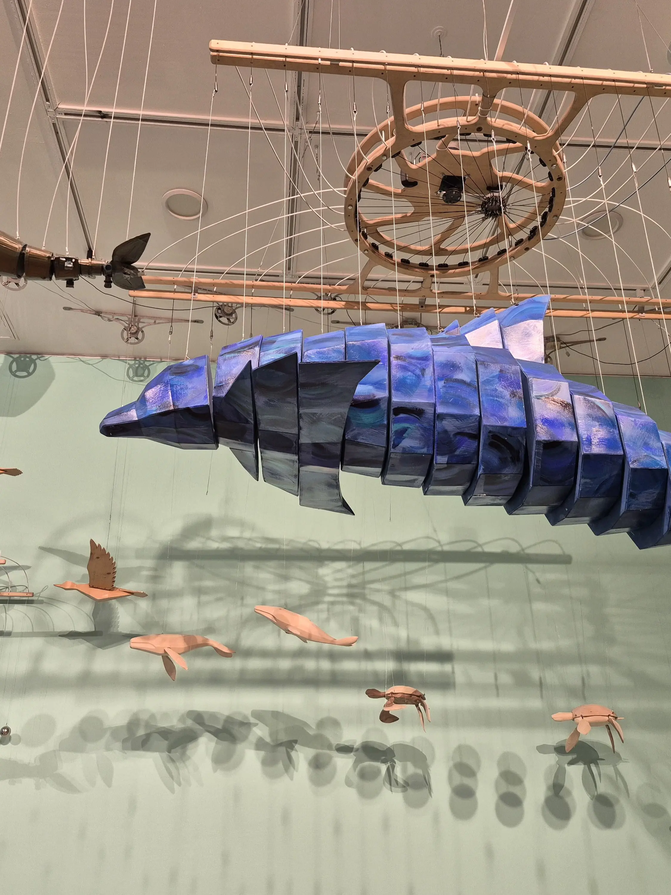 SHARK_...의 사촌지간