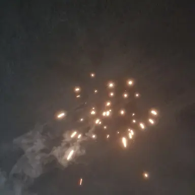 Profile image of 호크모스