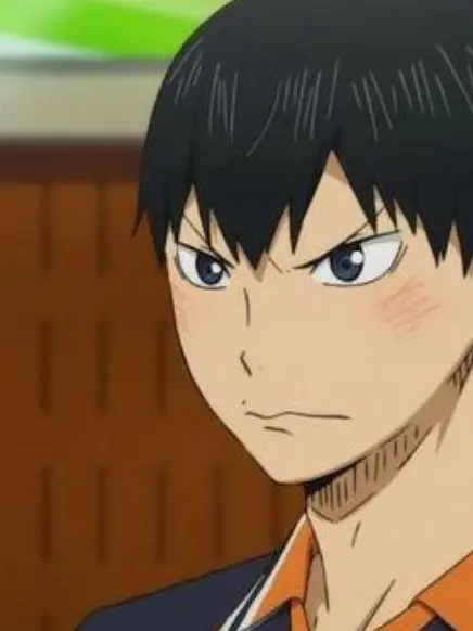 Melu_2013의 ハイキュー!!の夏合宿