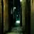 Profile image of 裏路地