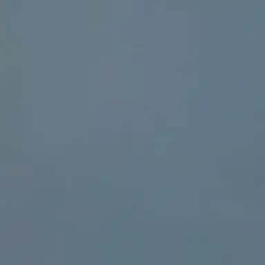 Profile image of 若