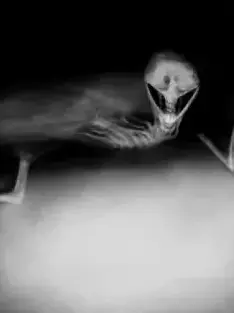 Kim_Danggeun의 나 왜 버렸어?