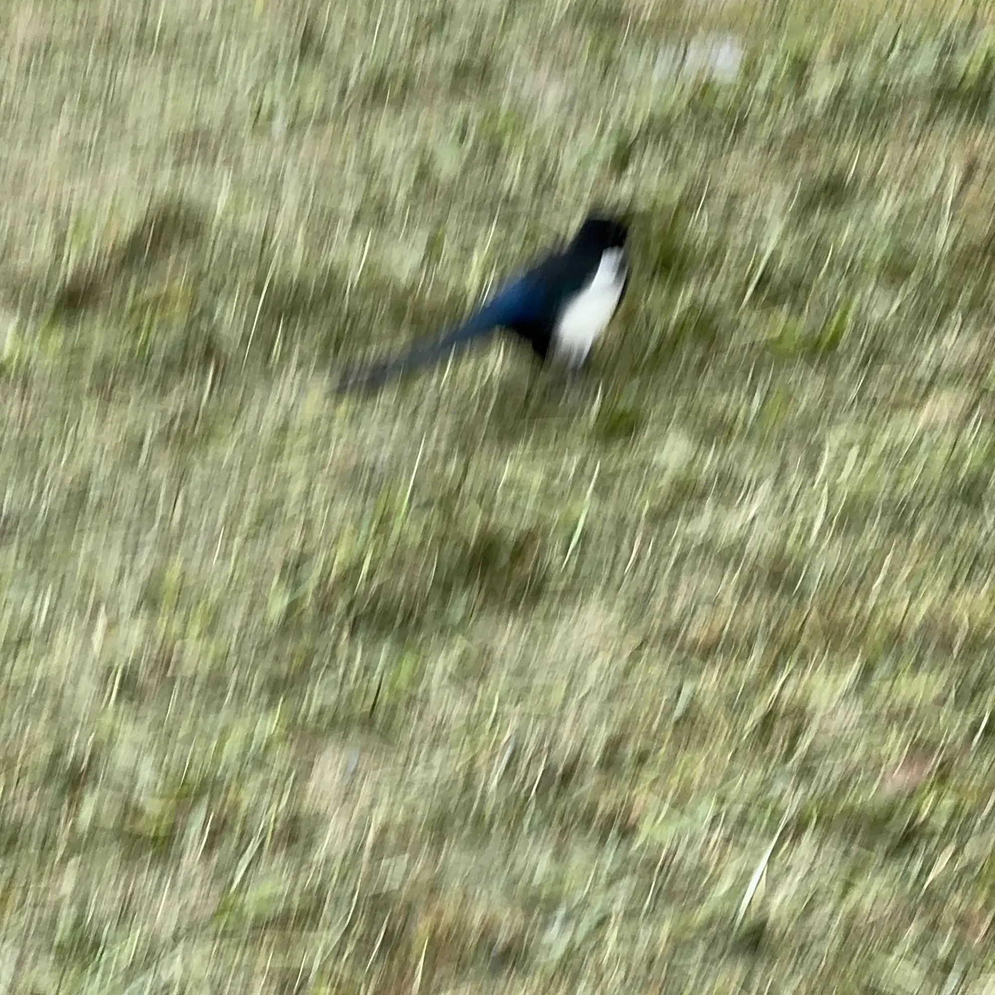 DemureStage3496의 AHOF 유치원🌱