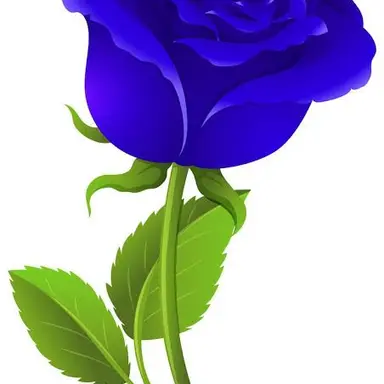 Profile image of 김규빈