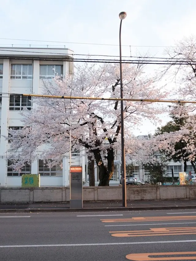 Q4538의 「시바타 고등학교」