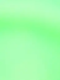 Ddragon0901의 선도부 비챤