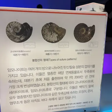 Profile image of 쉘리