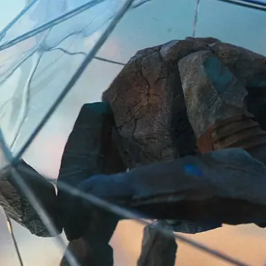 Profile image of Rocky