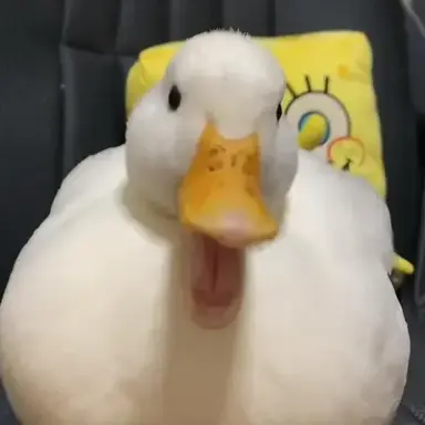 Profile image of 김언덕