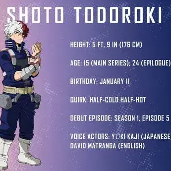Profile image of Shoto Todoroki