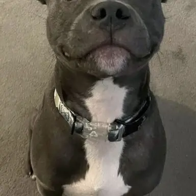 Profile image of Eros