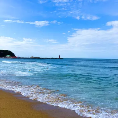 Profile image of 성희주