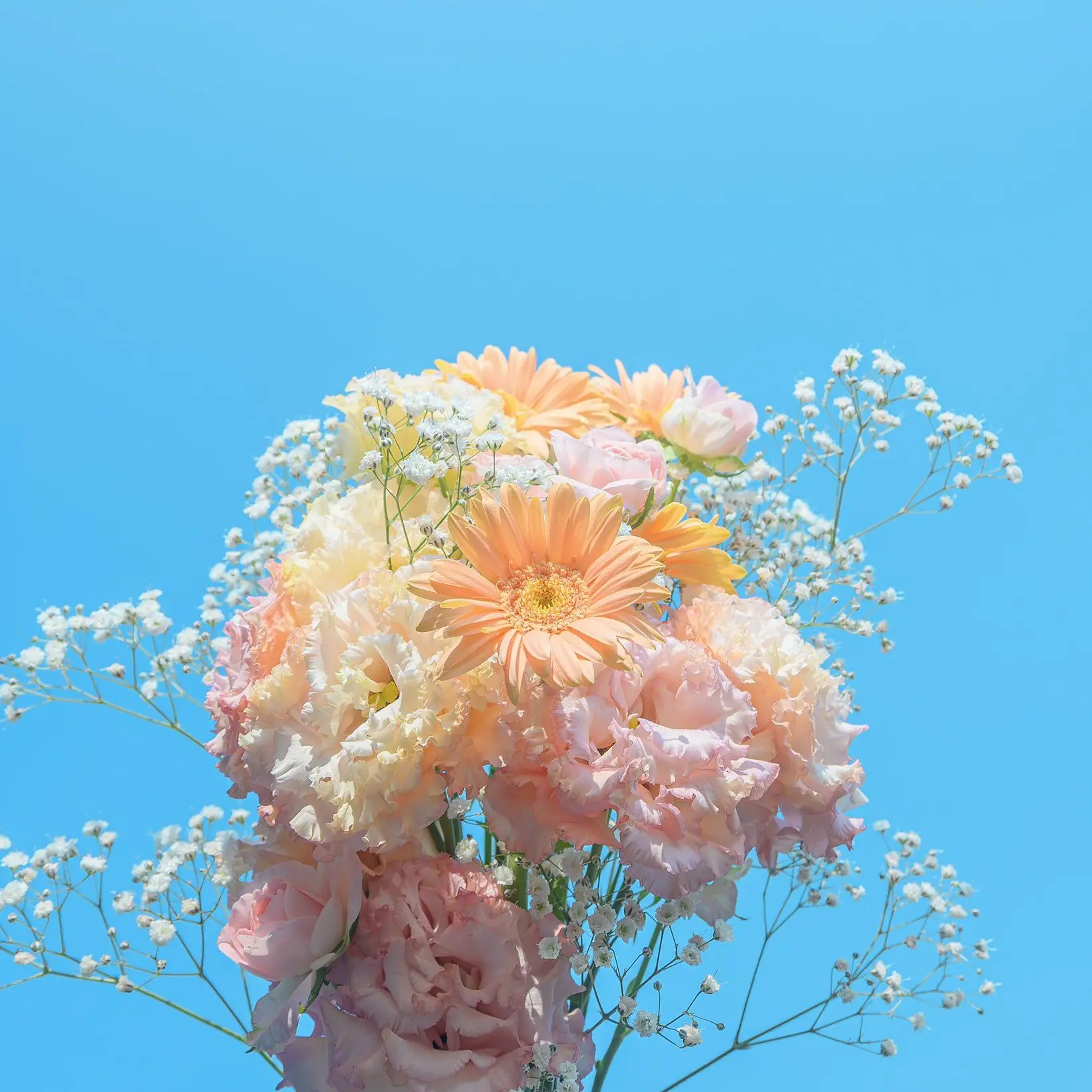 DarkRain4450의 あの野球選手と結婚することに！？