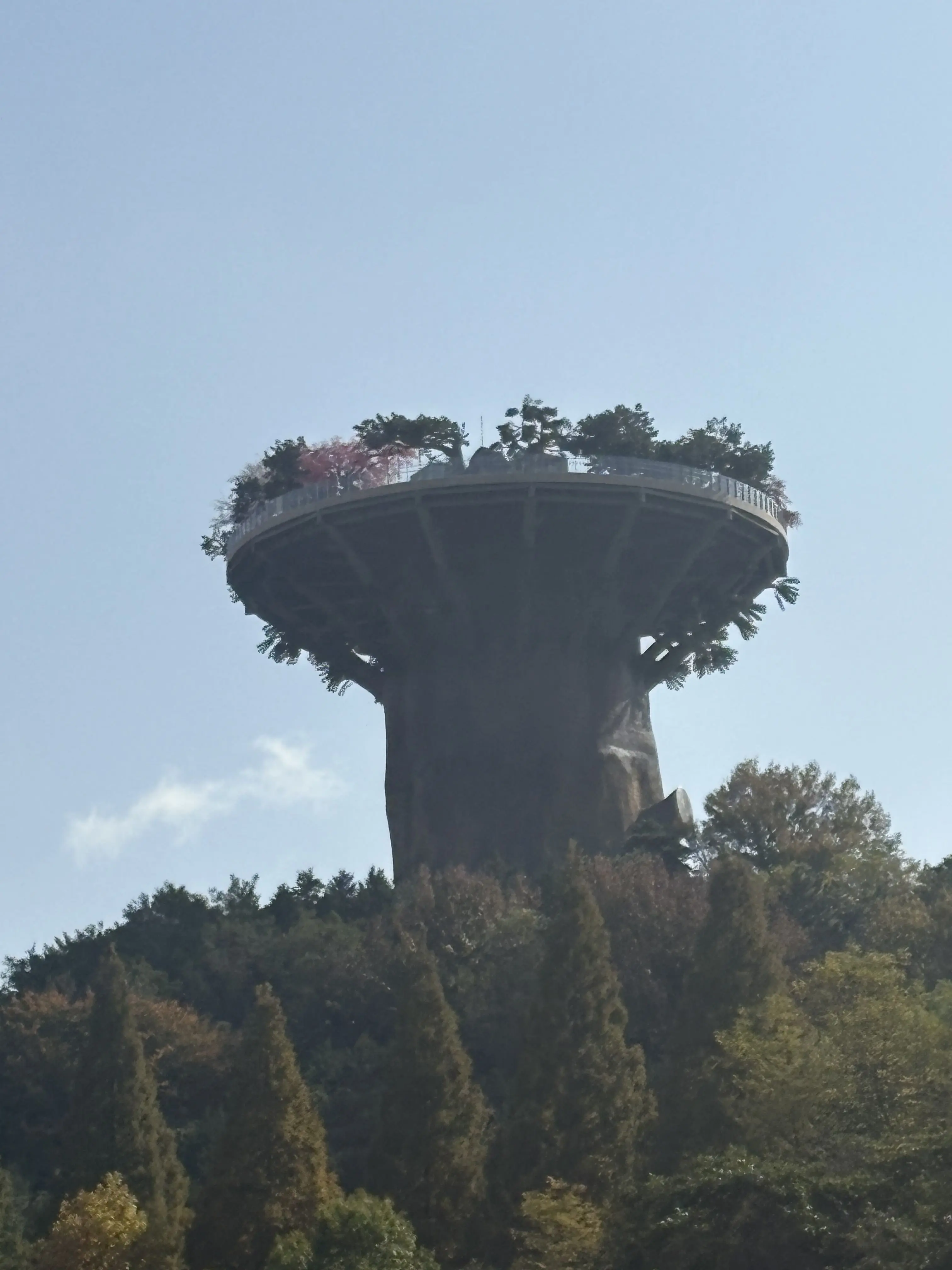 qppr1004의 중딩이라고 초딩 얕보는 13년생